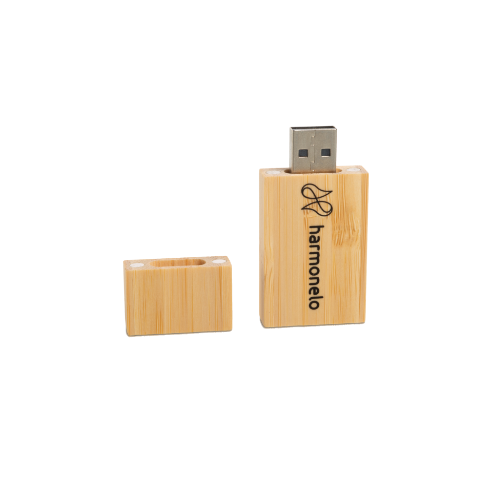 USB flash disk 32 GB